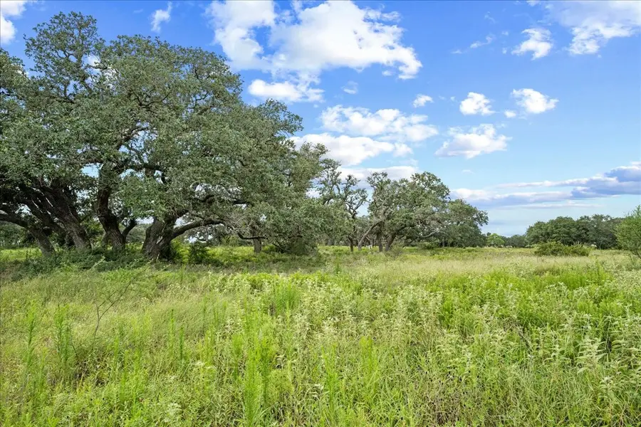 TBD Teal Lane, Columbus, TX 78934 - #3