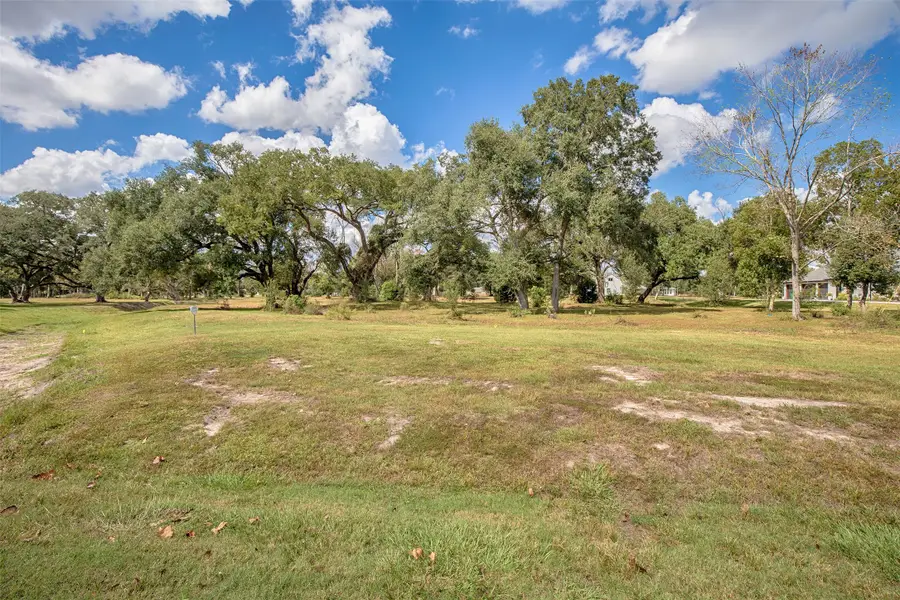 2710 Whispering Pine Drive, Alvin, TX 77511 - #3