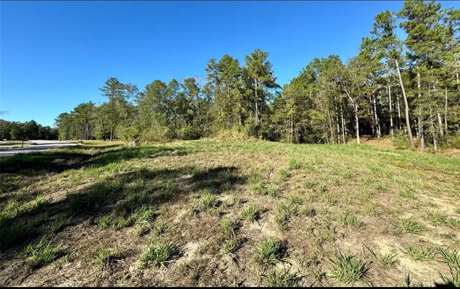 435 County Road 6324, Dayton, TX 77535 - Image #2