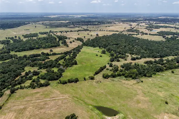 60 Acres Petri Lane, Madisonville, TX 77864