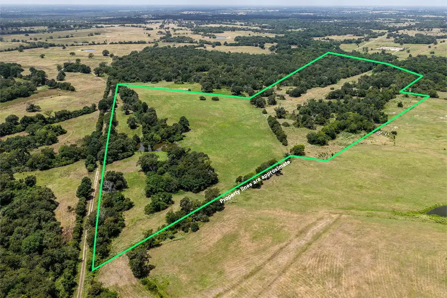 60 Acres Petri Lane, Madisonville, TX 77864 - #2