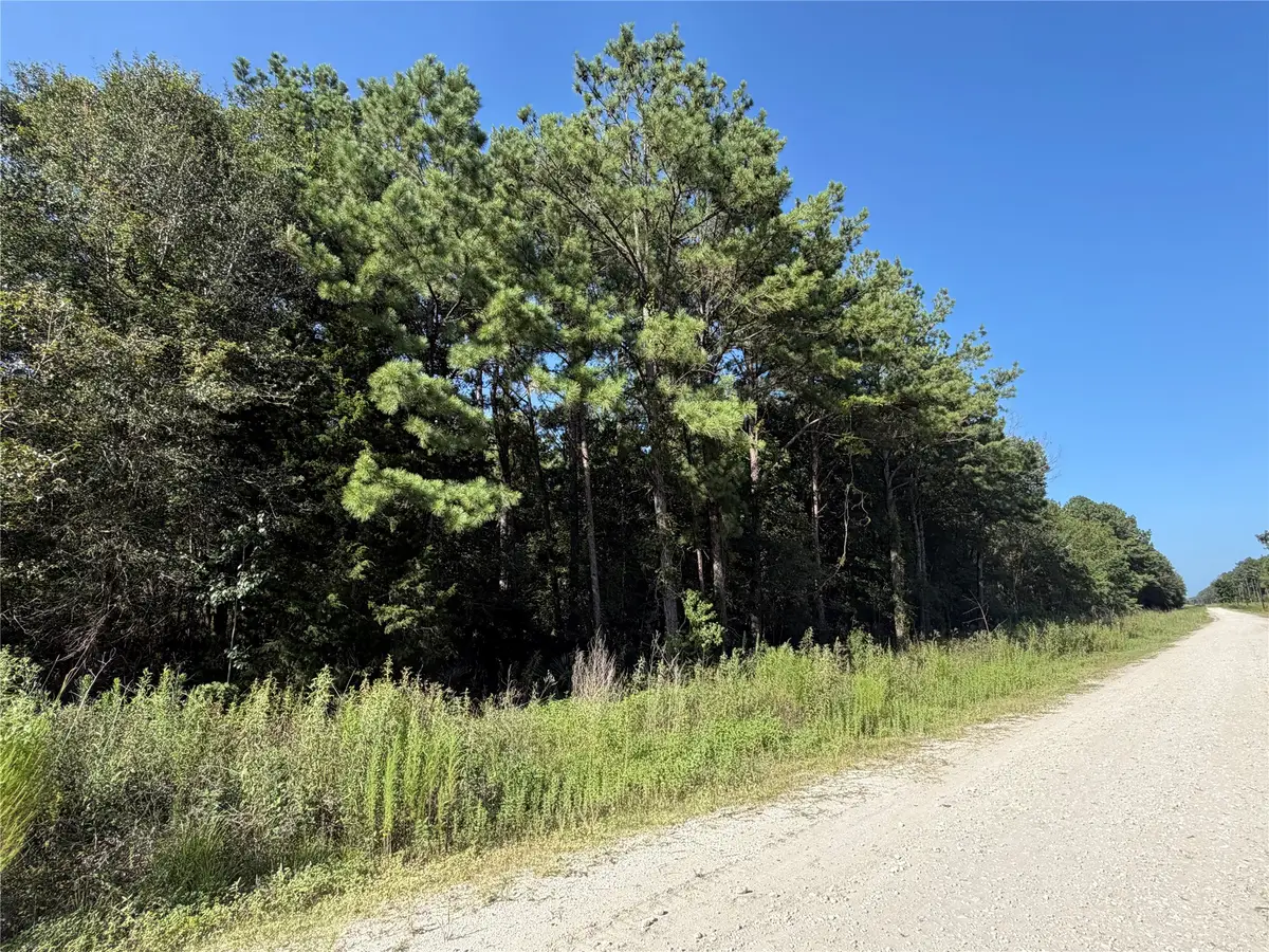 Tract 51 Black Cat Road, Sour Lake, TX 77659 - #1