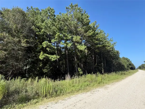 Tract 51 Black Cat Road, Sour Lake, TX 77659
