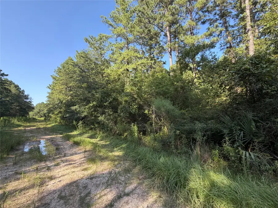 Tract 51 Black Cat Road, Sour Lake, TX 77659 - #2