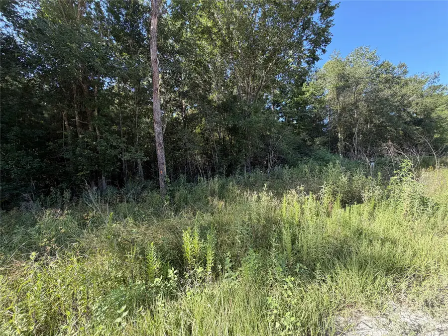 Tract 51 Black Cat Road, Sour Lake, TX 77659 - #3