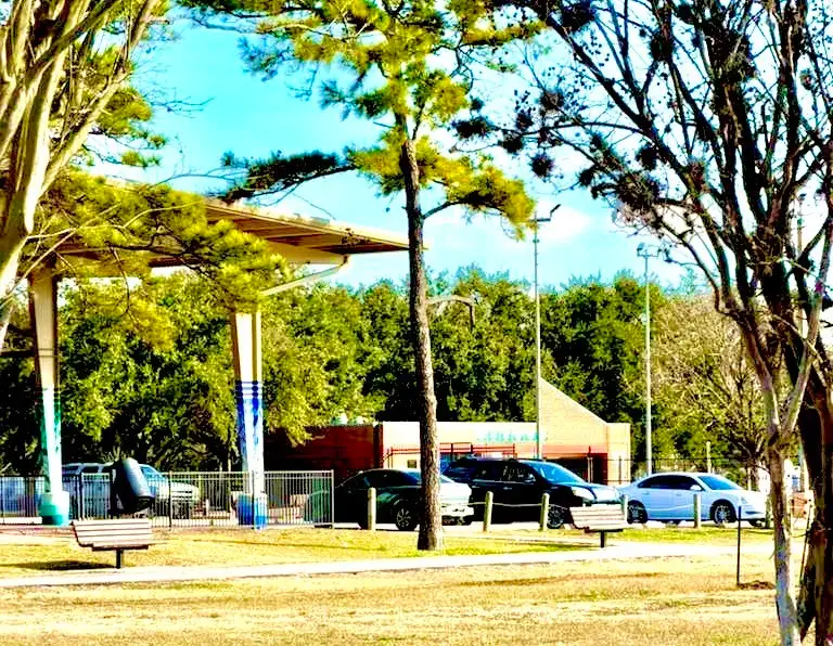 7987 Chateau Street, Houston, TX 77028 - #3