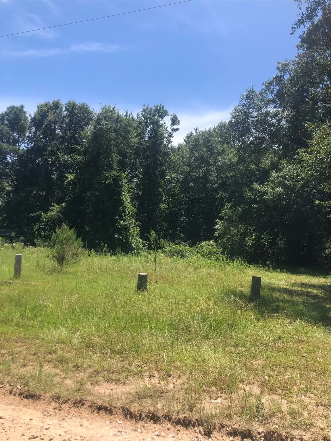 390 Story Drive, Livingston, TX 77351 - Image #1