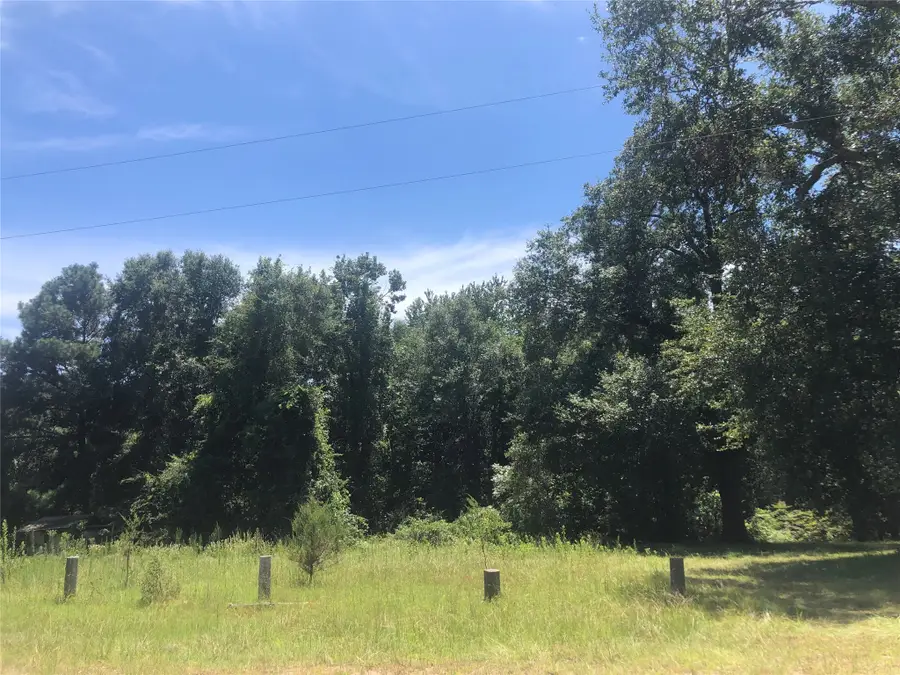 390 Story Drive, Livingston, TX 77351 - Image #3