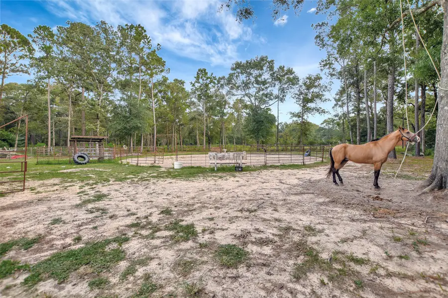 10677 Fm 2432 Road, Conroe, TX 77303 - #3