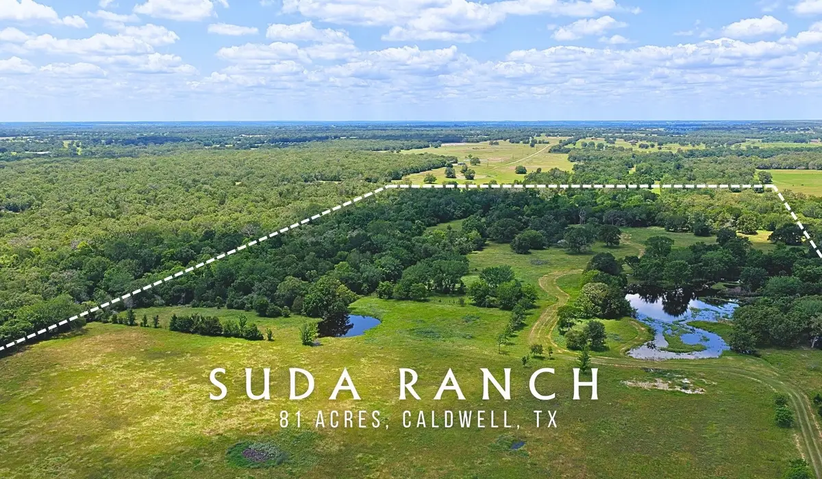 5380 County Road 132 - 81 Acres, Caldwell, TX 77836 - #1