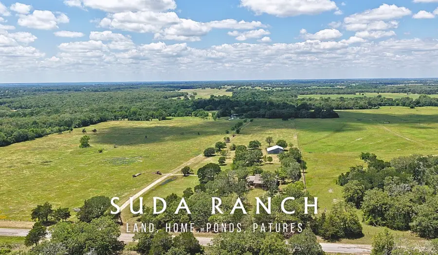 5380 County Road 132 - 81 Acres, Caldwell, TX 77836 - #2