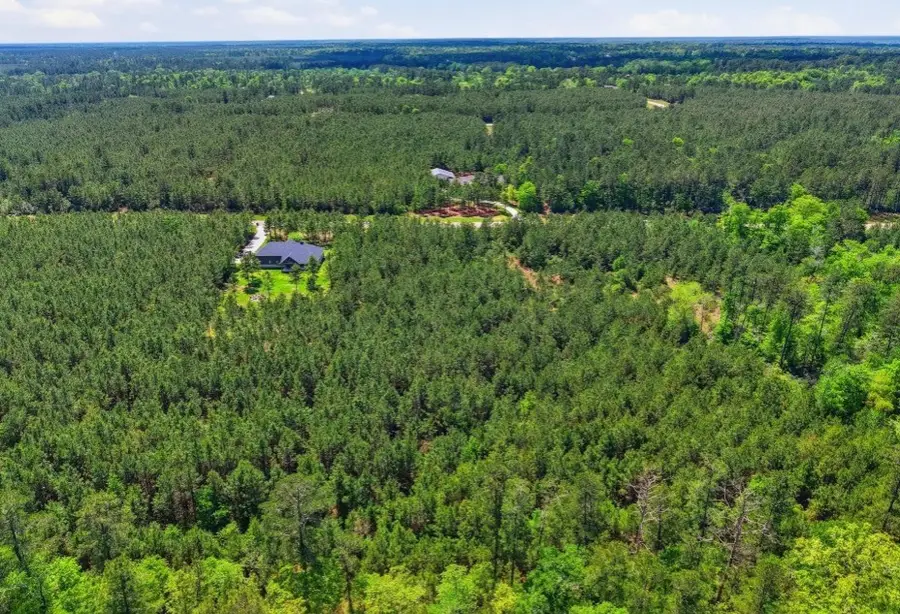 16166 Forest Mill Road, Willis, TX 77378 - #2