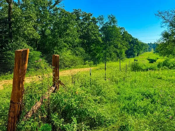 13 I 45 Feeder, Centerville, TX 75833