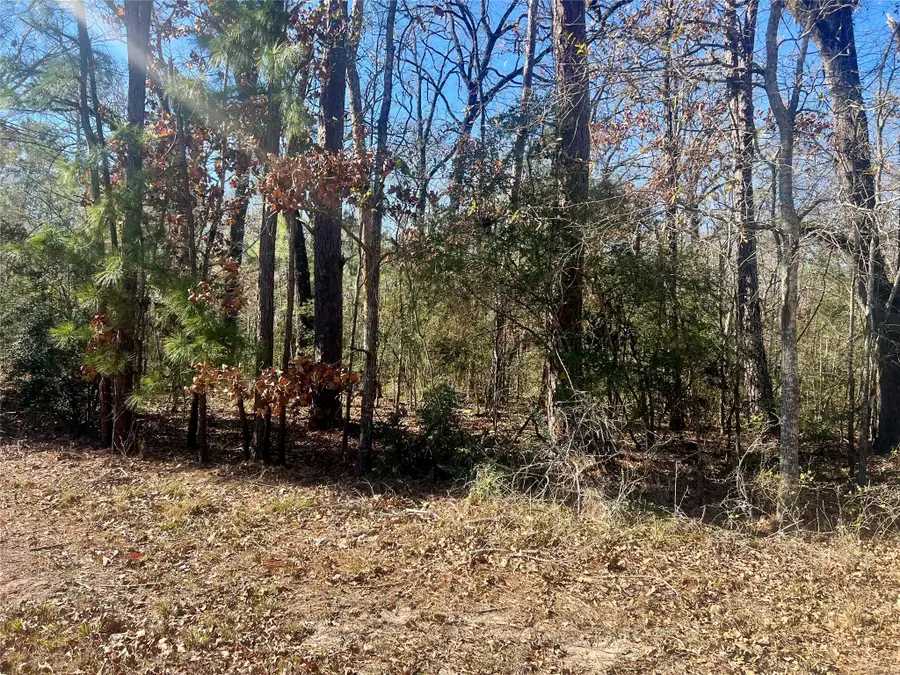 TBD Hackberry Drive, Onalaska, TX 77360 - #3