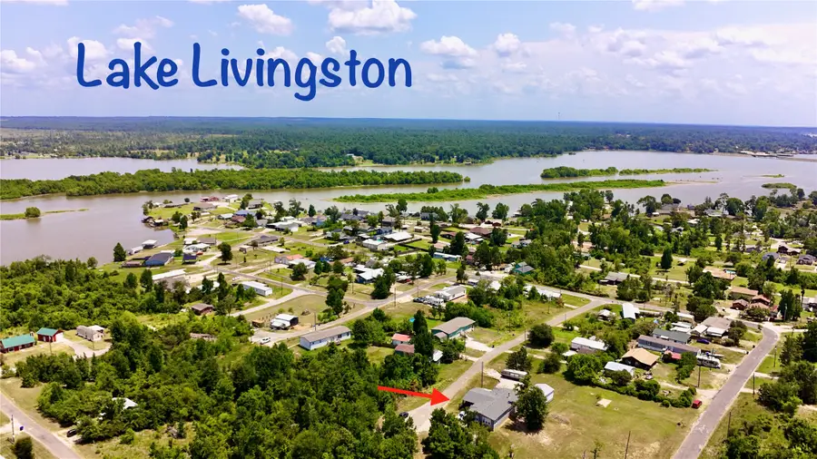 199 Cedar, Onalaska, TX 77360 - #3