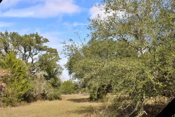 TBD Parcel 8 Lobo Lane, Columbus, TX 78934