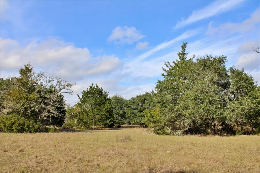TBD Parcel 8 Lobo Lane, Columbus, TX 78934 - #3