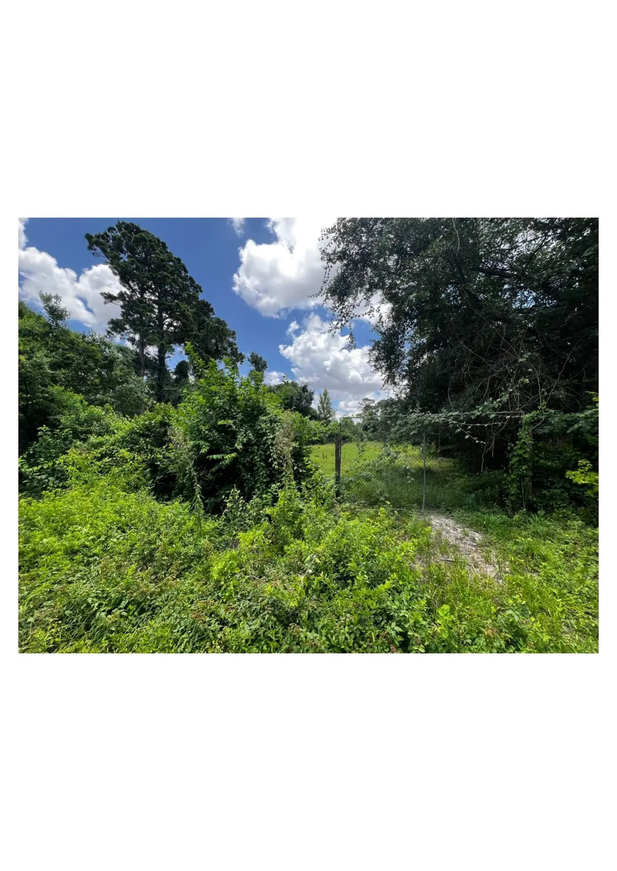 000 Bland Street, Houston, TX 77091 - #1