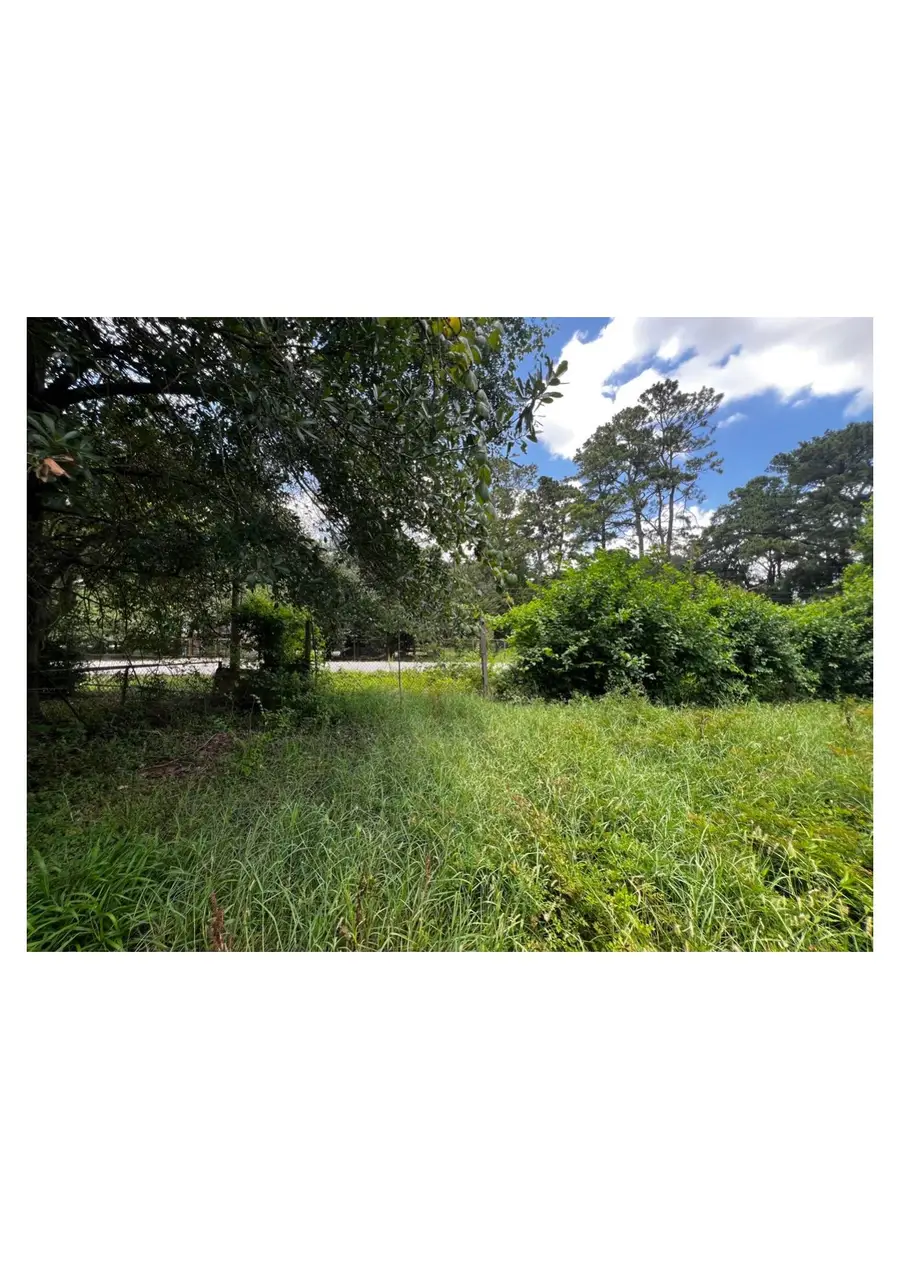 000 Bland Street, Houston, TX 77091 - #2