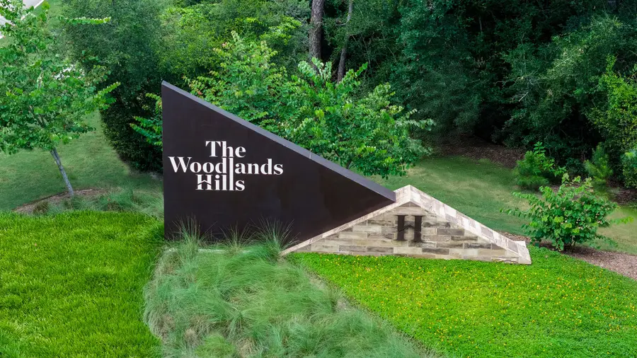 215 Harglow Court, Willis, TX 77318 - #3