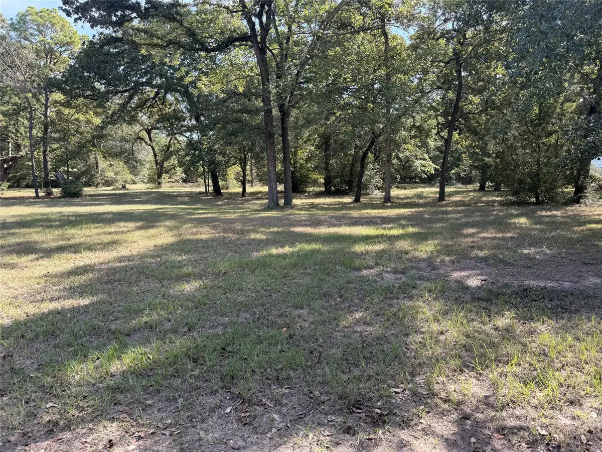 TBD Deer Trail, Hockley, TX 77447 - #1