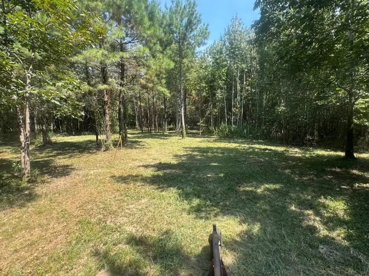 TBD Fm-223, Shepherd, TX 77371 - #1