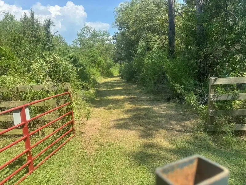 TBD Fm-223, Shepherd, TX 77371 - #2