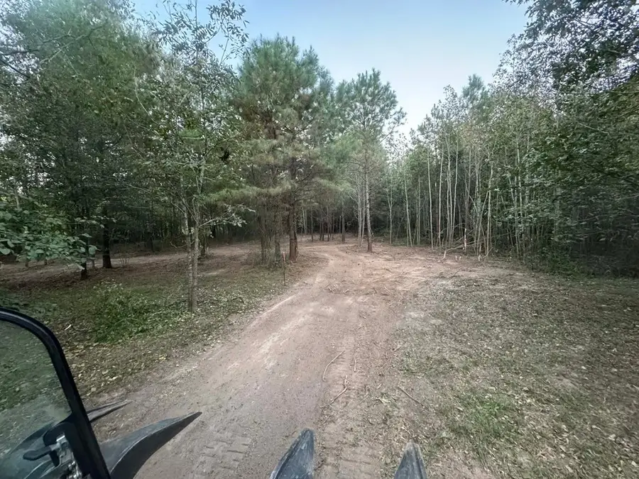 TBD Fm-223, Shepherd, TX 77371 - #3