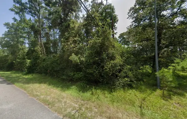 20202 Belleau Wood Drive, Houston, TX 77338