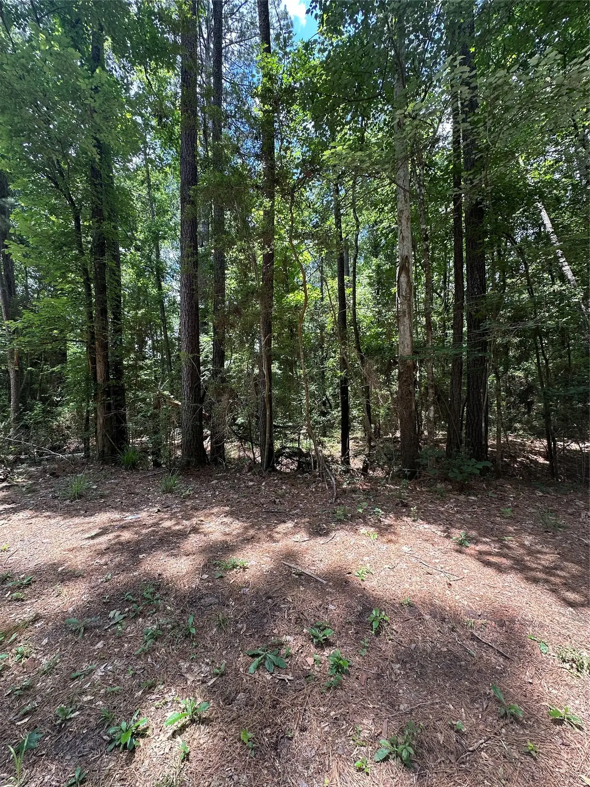 0 Royal Estates Dr, Conroe, TX 77303 - #1