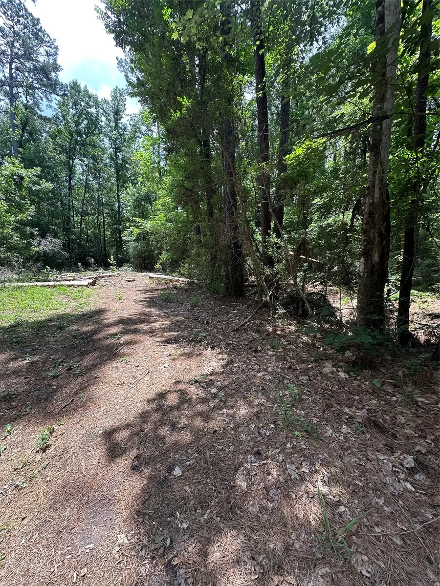 0 Royal Estates Dr, Conroe, TX 77303 - #3