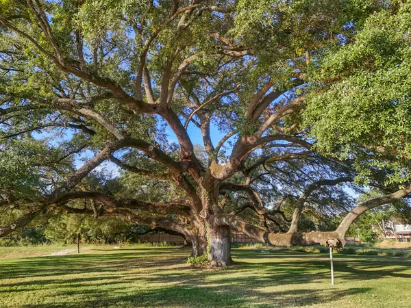 21803 Red Oak View Court, Tomball, TX 77375