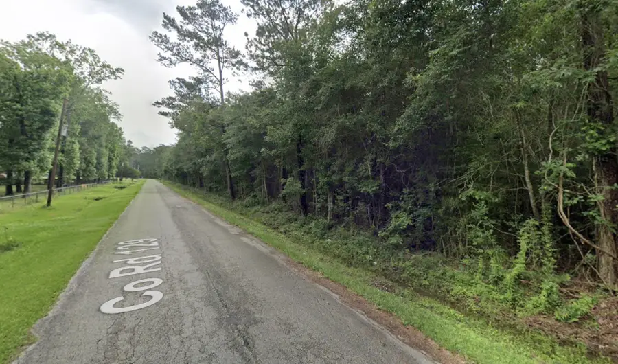 TBDlot1 County Road 129, Liberty, TX 77575 - Image #3