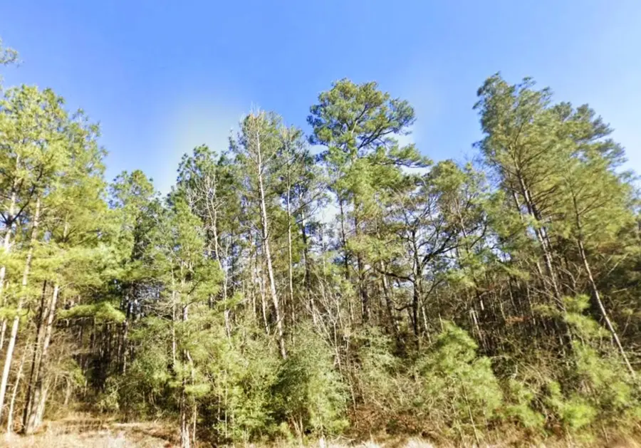 52-54 Charming Homestead Way, New Waverly, TX 77358 - #2