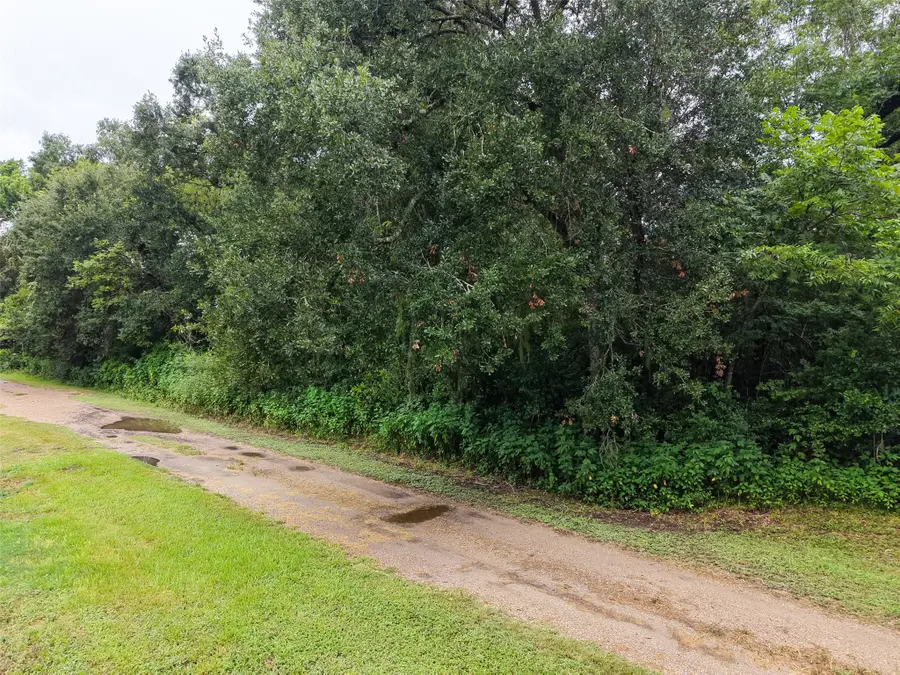 0 Pine Street, Rosharon, TX 77583 - #2