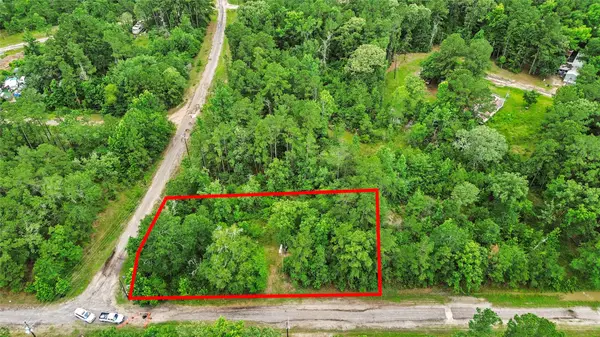 413 N Settlers Way, Trinity, TX 75862