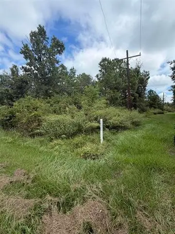 10585 Dogwood Drive, Beaumont, TX 77705 - #2