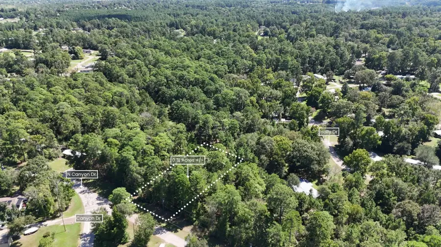 Lot 226 N Canyon Drive, Onalaska, TX 77360 - Image #2