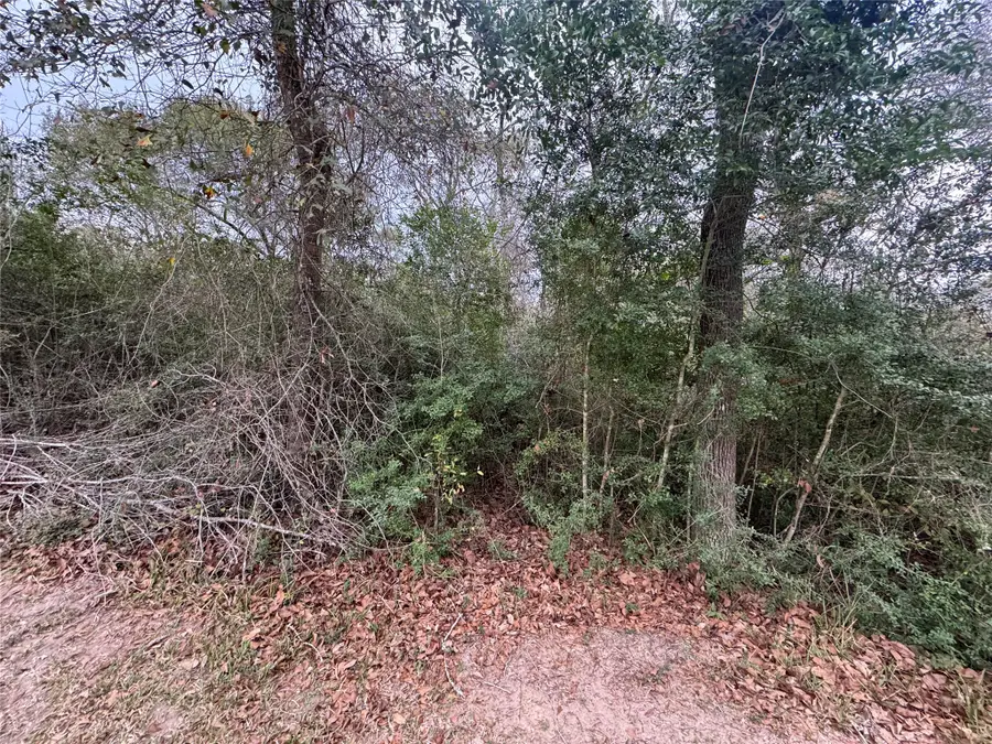 0 N Bonnie Lake Dr, Hempstead, TX 77445 - #2