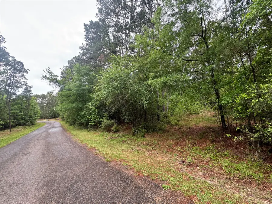 0 Whisperwood Drive, Onalaska, TX 77360 - #2