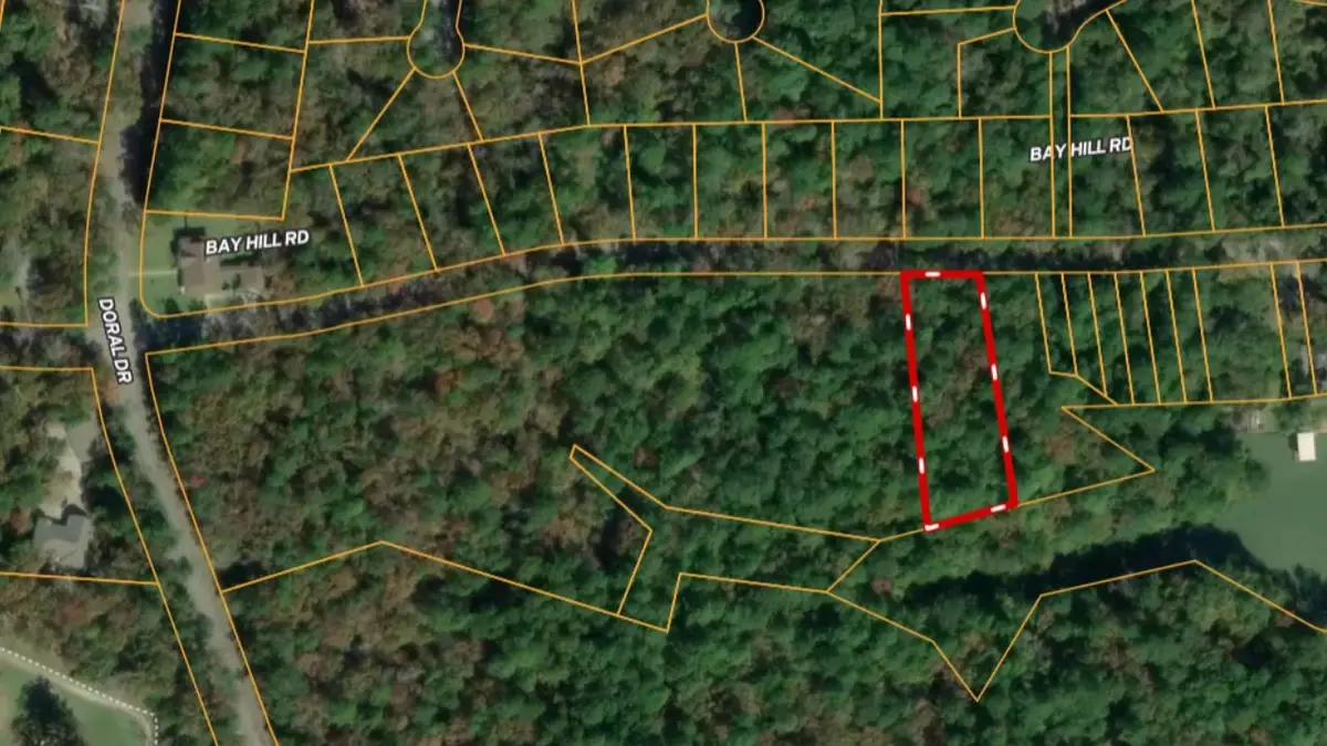 Lot 10 Bay Hill Road, Huntsville, TX 77320 - #1