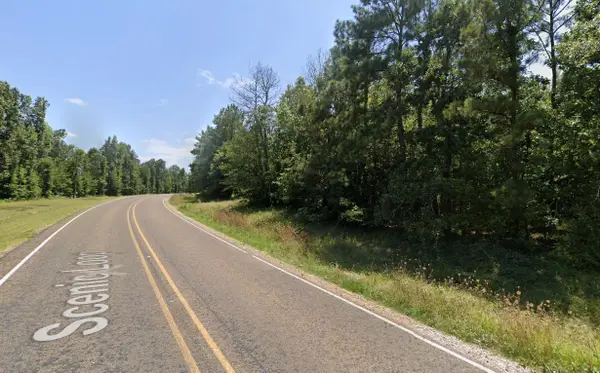 0 Bankside Street, Livingston, TX 77351