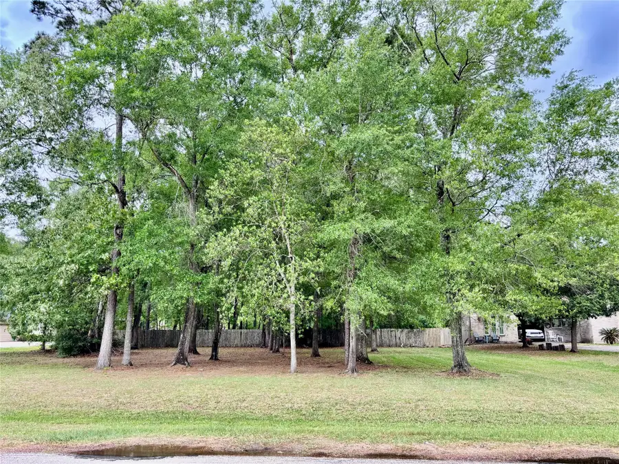 22920 Colorado Drive, Porter, TX 77365 - #2