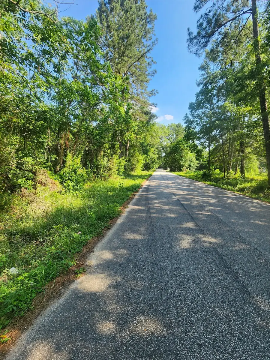 202 Michael Street, Cleveland, TX 77328 - #2