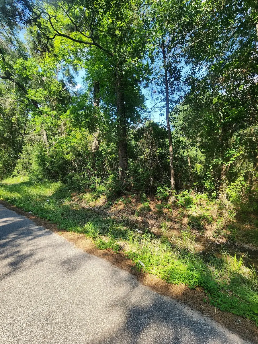 202 Michael Street, Cleveland, TX 77328 - #3