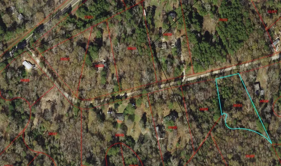 32 Gourd Creek Drive, Huntsville, TX 77340 - #2