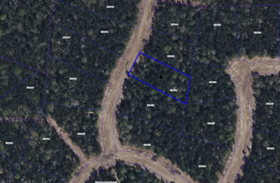 4577 Blue Agave Way, Montgomery, TX 77316 - #2