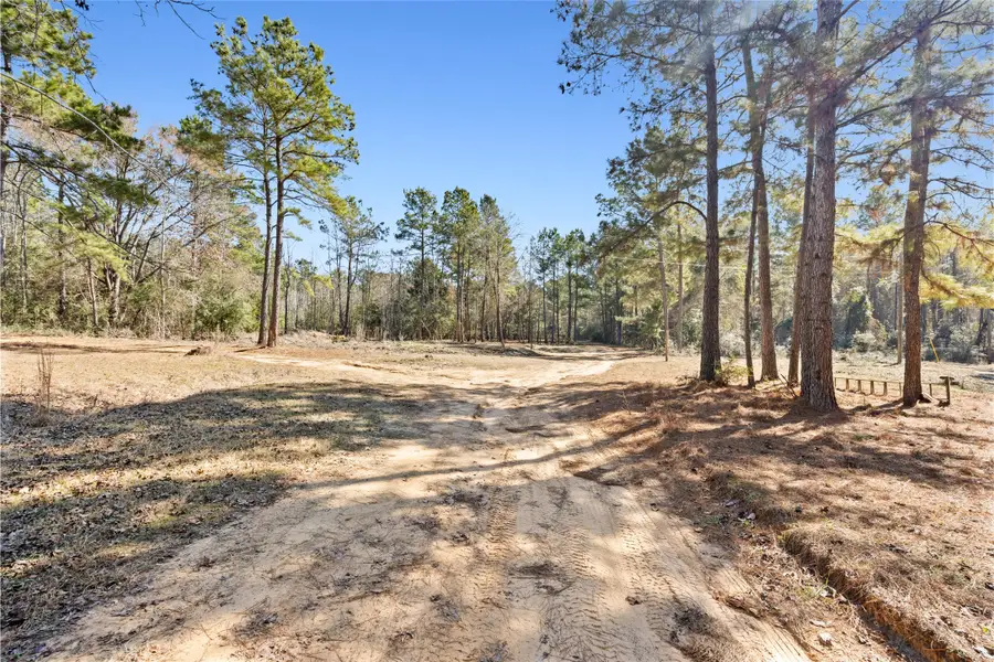 7275 County Road 1830, Crockett, TX 75835 - #3