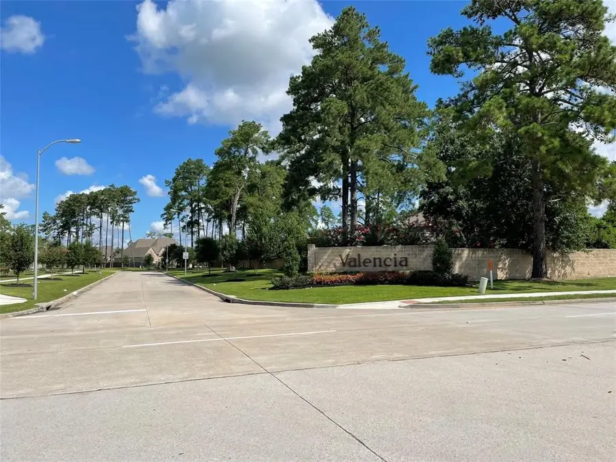 13603 Rollins Green Lane, Cypress, TX 77429 - #3