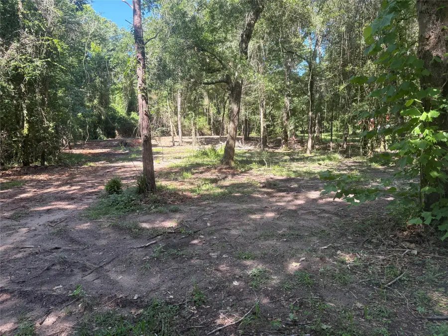 25111 N Clear Creek Road, Hockley, TX 77447 - #3